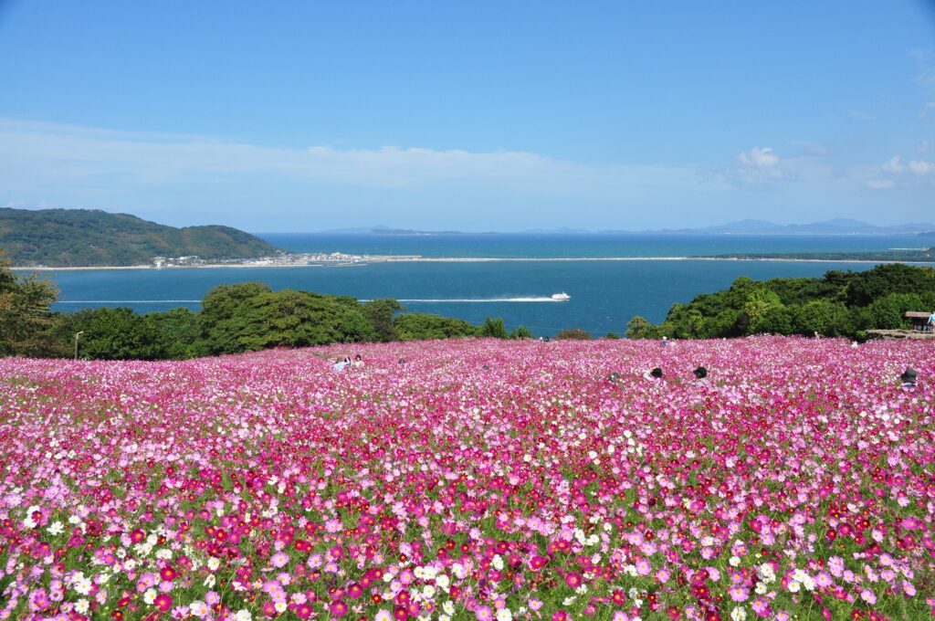 Nokonoshima Island Park- Great things to do in Fukuoka