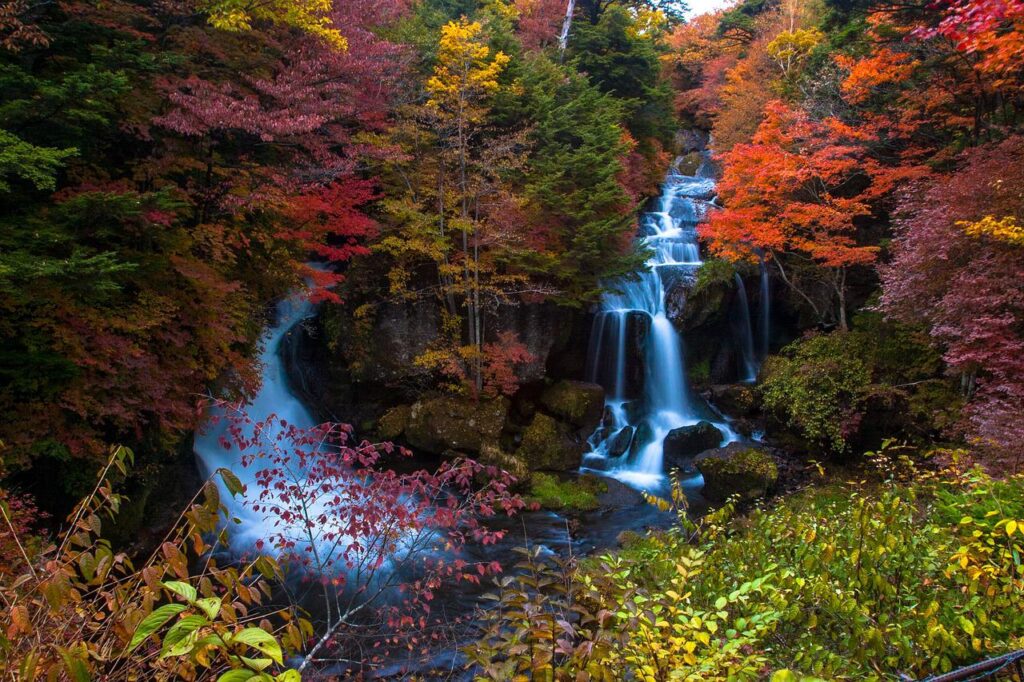 Top 8 spectacular things to do in Nikko, Japan