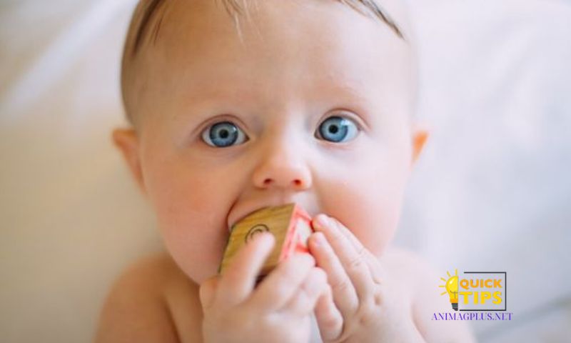 Folk Remedies for Teething FeverCarrot Soup: A Nutritious Delight