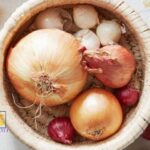 Tips for Storing Onions in the Room
